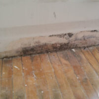 Restoration Pictures Photo Gallery Images (107)