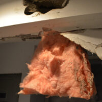 Restoration Pictures Photo Gallery Images (133)