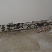 Restoration Pictures Photo Gallery Images (15)