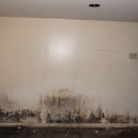 Restoration Pictures Photo Gallery Images (219)