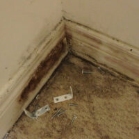 Restoration Pictures Photo Gallery Images (24)