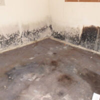 Restoration Pictures Photo Gallery Images (3)
