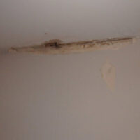 Restoration Pictures Photo Gallery Images (4)
