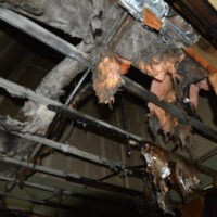 Restoration Pictures Photo Gallery Images (48)
