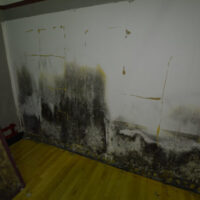 Restoration Pictures Photo Gallery Images (52)