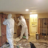Restoration Pictures Photo Gallery Images (83)