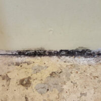 Restoration Pictures Photo Gallery Images (84)