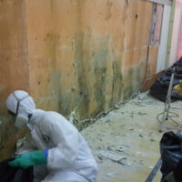 Restoration Pictures Photo Gallery Images (93)