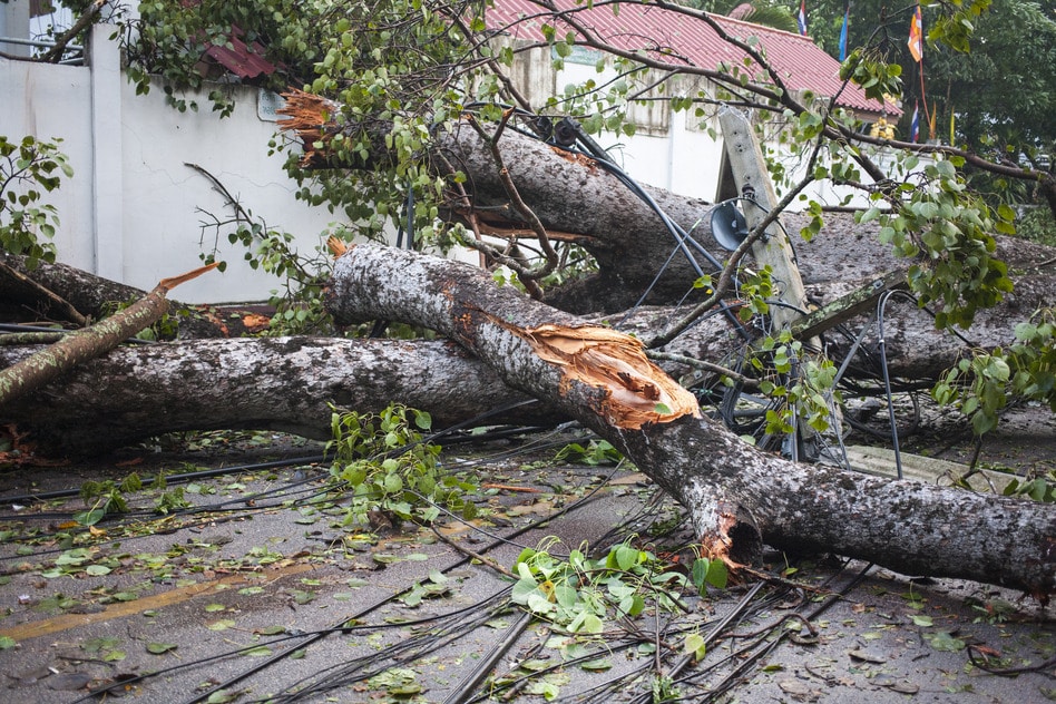 storm damage restoration toronto